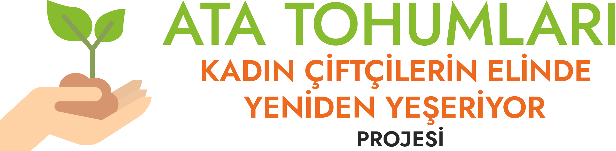 GAP Ata Tohum